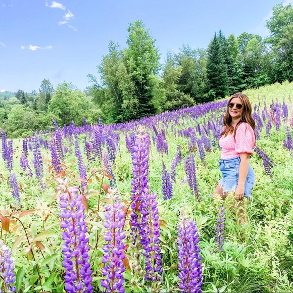 Meet your Posher, Brittany - Picture 1 of 1